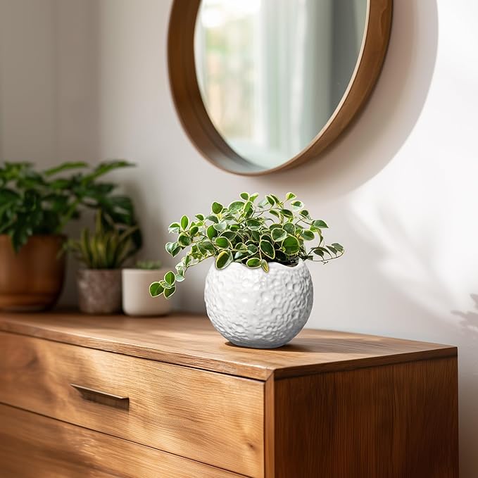 4 inch Plant Pots - Image 7