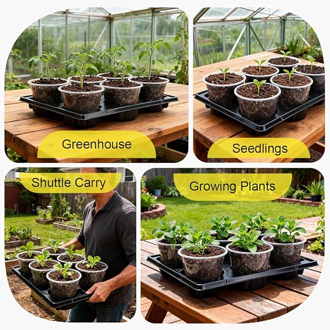 30 Pack 6 Inch Clear Nursery Pots and 5 Pack 6 Cell Round Plant Pot Trays - Image 7