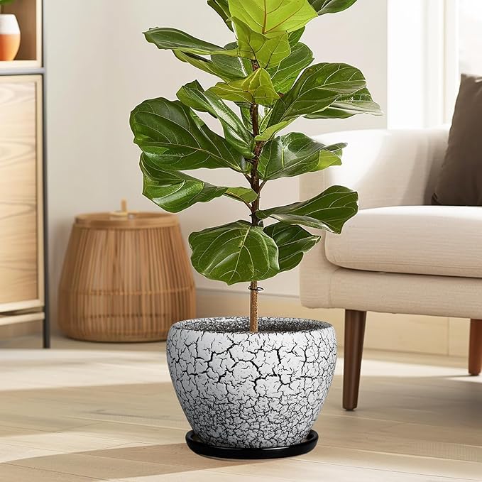 Ceramic Plant Pot 8 Inch - Image 5
