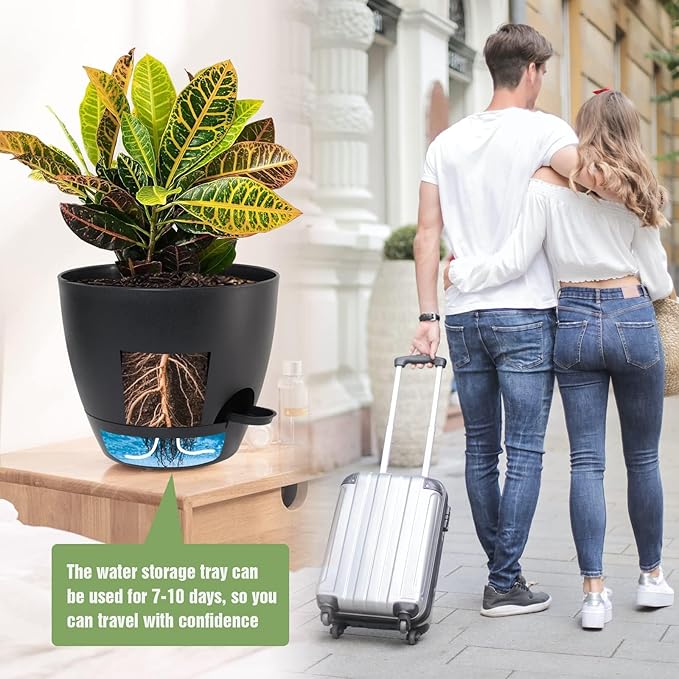 10/9/8 inch Self Watering Pots - Image 7