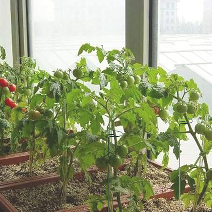 Plant Stake Support - Image 7