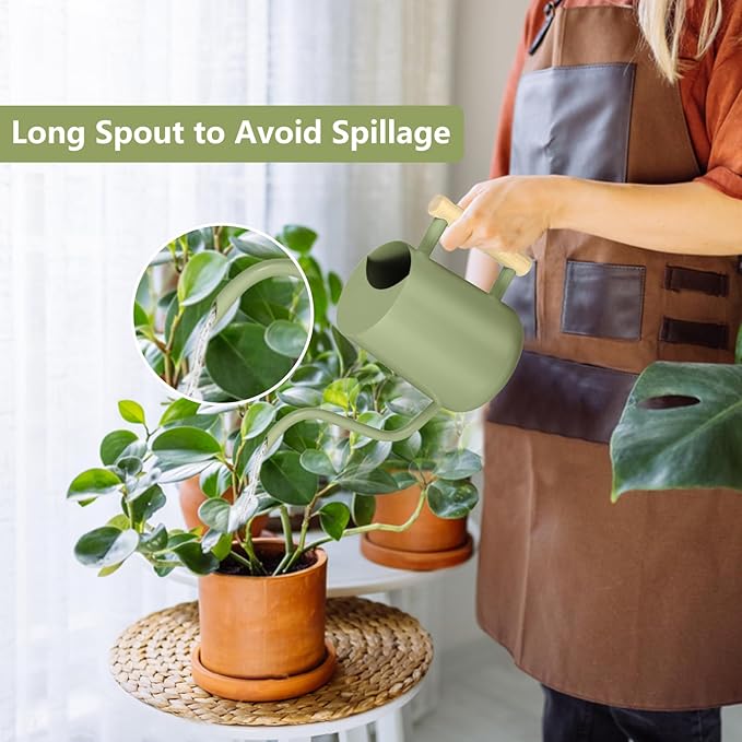 Watering Can Indoor Plants, 35oz Small Indoor Stainless Steel Metal Watering - Image 2