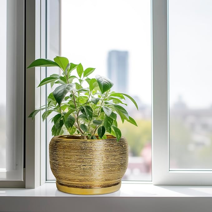 SQOWL Ceramic Planter for Indoor Plants - Image 4