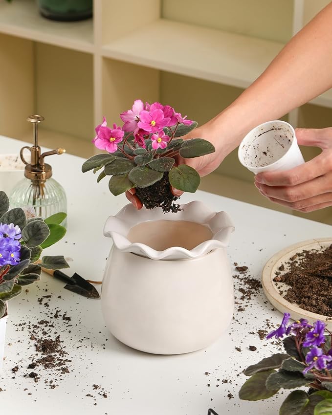 Self Watering Plant Pot, 6 Inch African Violet Pots Maintenance, Ceramic - Image 6