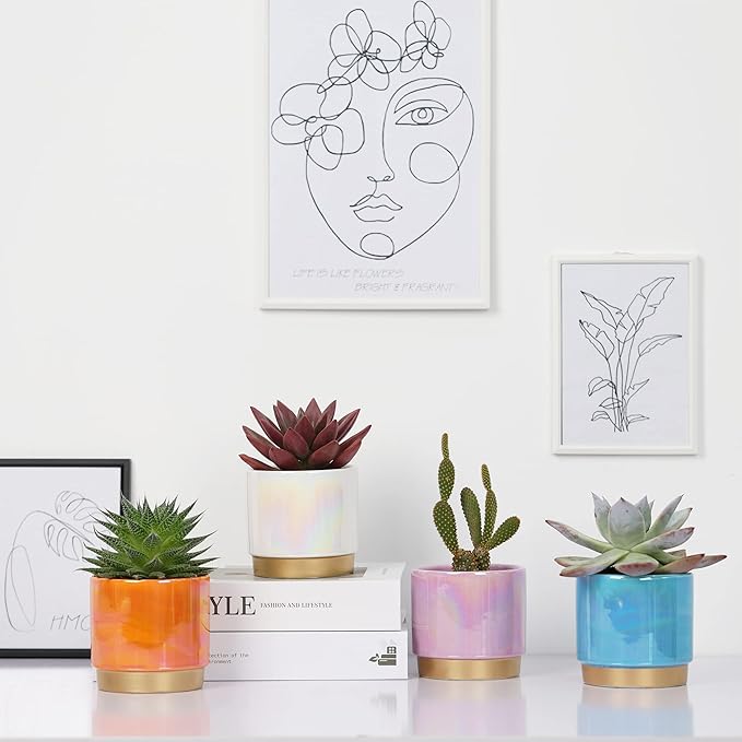 Gepege Succulent Pots for Plants, Succulent Planter - Image 7