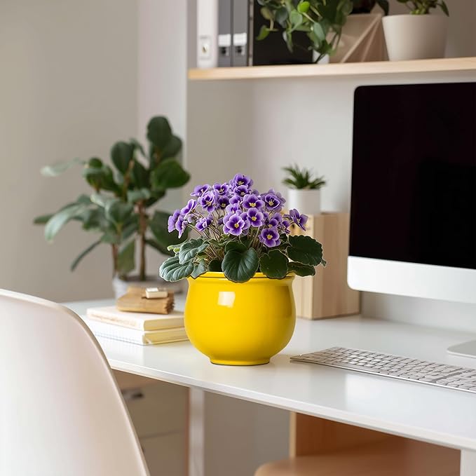 Ceramic Self Watering Planters, 6 Inch African Violet Pots - Image 3