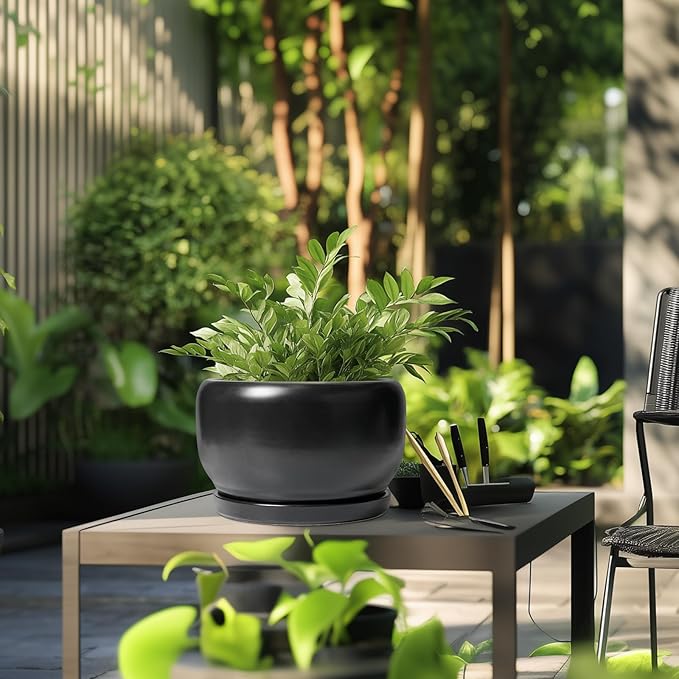 SQOWL Ceramic Flower Pot - Image 5