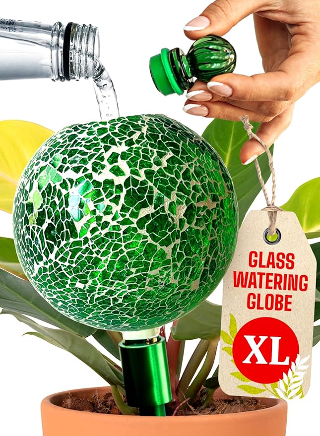 16 Oz Plant Watering Globes for Indoor Plants by GARDENBRO