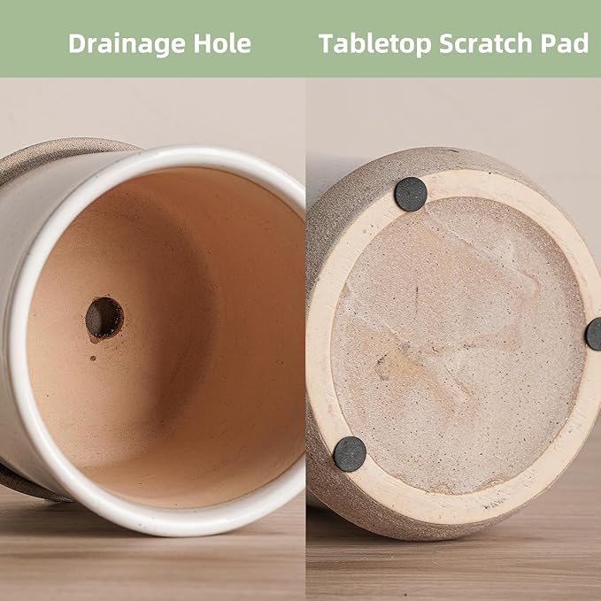 5.8 Inch Plant Pot: Ceramic Planter - Image 4