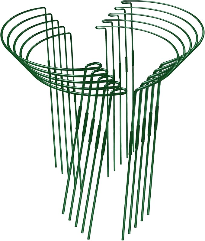 10-Pack Adjustable Height Snake Plant Support Stakes- Sturdy, Rust-Resistant by WooWellGoGoGoProducts