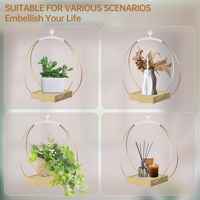 Hanging Planters for Indoor Plants - Image 2