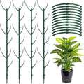 12 Pack Plant Support Stake Half Round Plant Support by BUYNOW