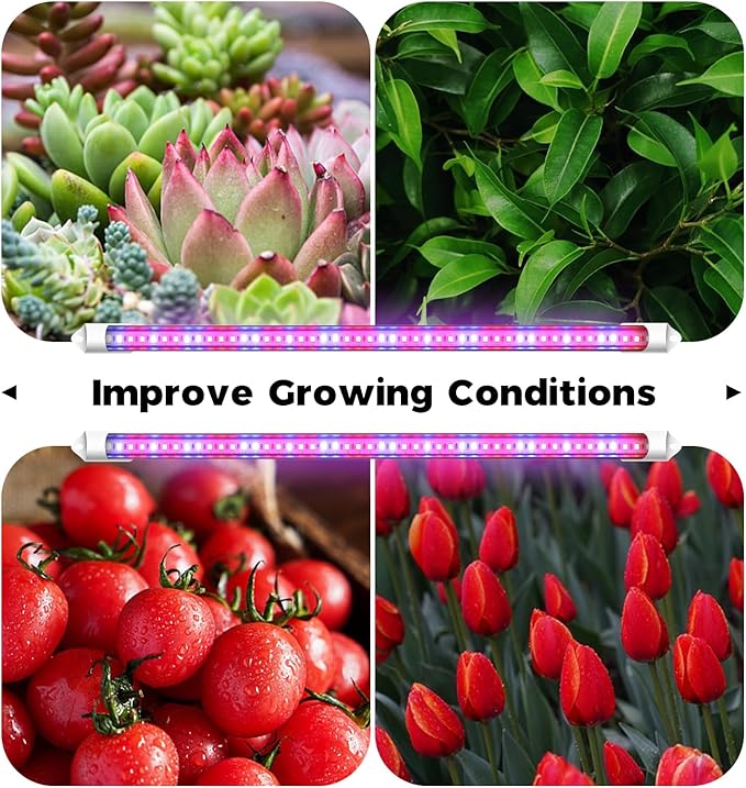 Bamworld Plant Stand with Grow Lights - Image 7