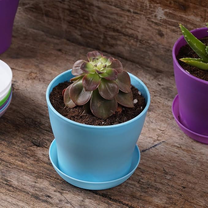 TDHDIKE 10 Pcs Plastic Planters Indoor Pots, Mini Flower Seedlings Nursery - Image 7