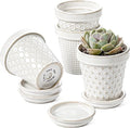 LE TAUCI Ceramic Succulent Pots, 4 Inch Small Plant Pot by LETAUCI
