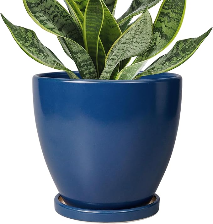 6.8 Inch Plant Pot by EPFamily