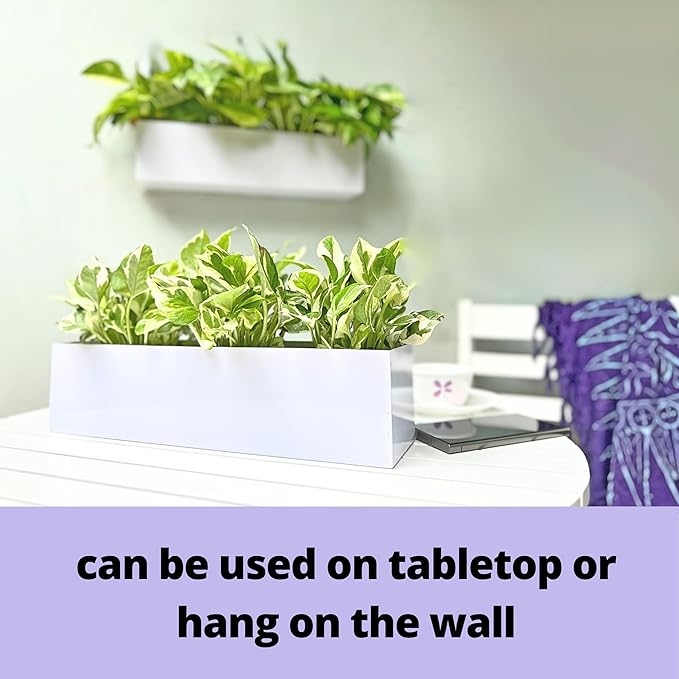 LaLaGreen Wall Planter Carbon Steel White Metal Hanging Flower Pot - Image 5