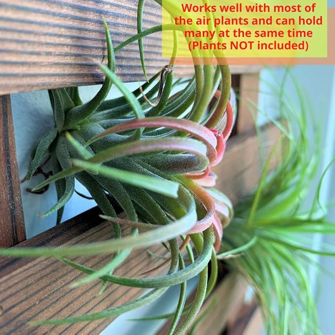 ShopLaLa Wall Planter - Image 4