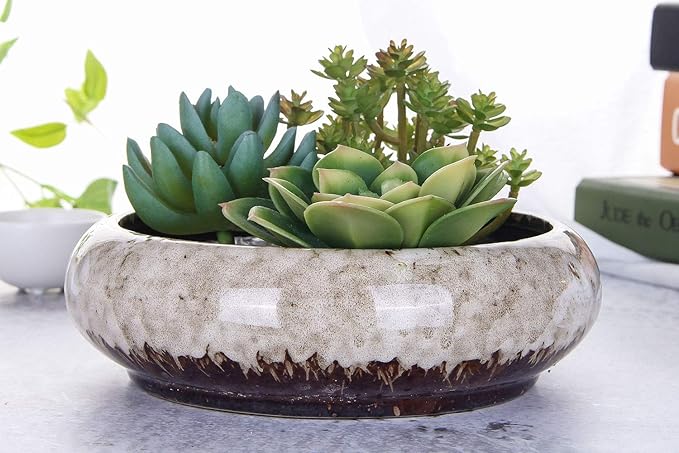 VanEnjoy 7.3 inch Round Large Shallow Succulent Ceramic Glazed Planter Pots - Image 3