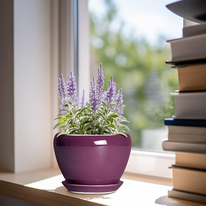 Ceramic Pots for Plants 6 Inch - Image 2