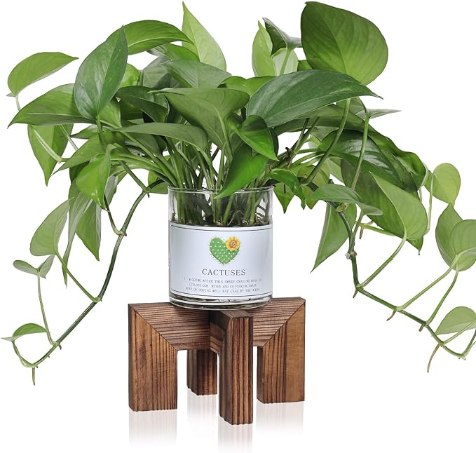 Plant Stand, Indoor/Outdoor Wood Plant Holder, Single Flower Pot Stand by Vigordream
