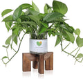 Plant Stand, Indoor/Outdoor Wood Plant Holder, Single Flower Pot Stand by Vigordream