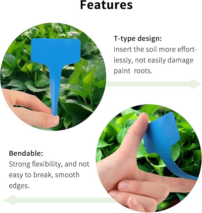 Blue Plant labels - Image 5