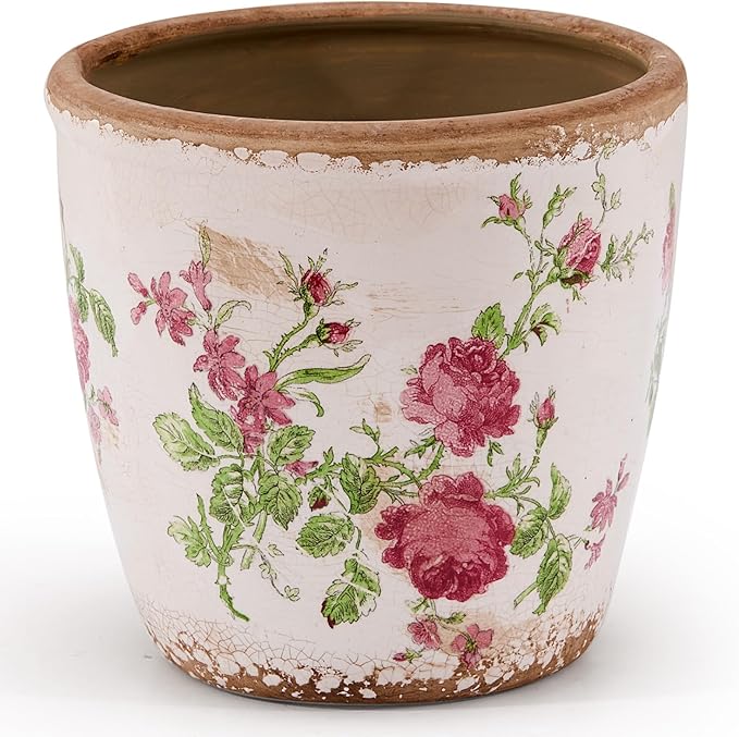 Vintage Ceramic Planter with Drainage Hole, Plastic Tray & Mesh, 6.5 Inch by TEWEIQI