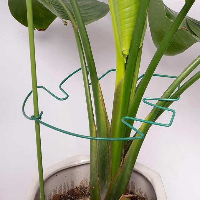 5PCS Monstera Plant Support Stem 9 x 7.6 in- Durable Stabilizer Set - Image 7