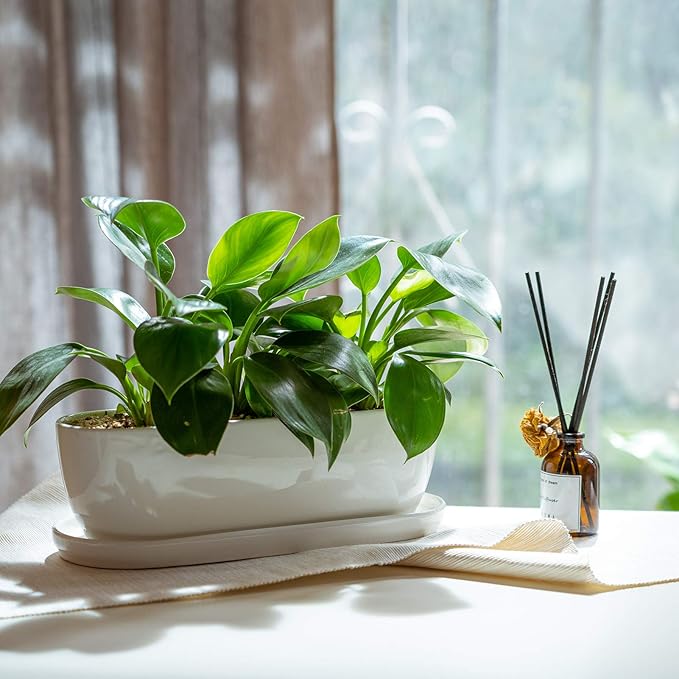 E-liu Oval Ceramic Planter Pot - Image 4