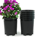 5 Gallon 20-Pack Nursery Pot Black Plastic Planters in Bulk by CottaPlanters