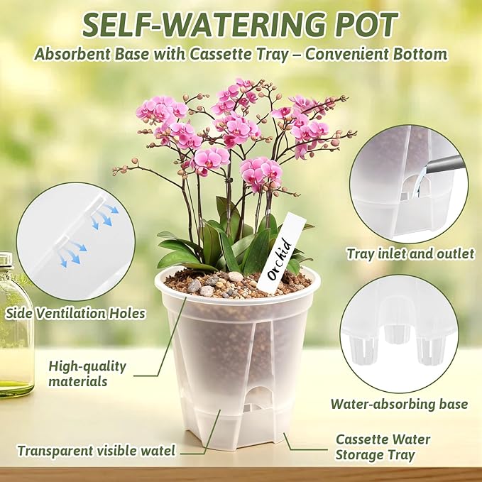 Clear Self Watering Pots for Indoor Plants - Image 7