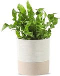 Nihow Self Watering Plant Pot: 4.5 Inch Ceramic Planter by Nihow