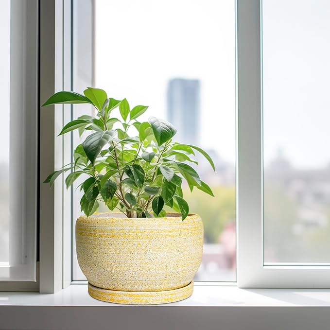 SQOWL Ceramic Planters for Indoor Plants - Image 4