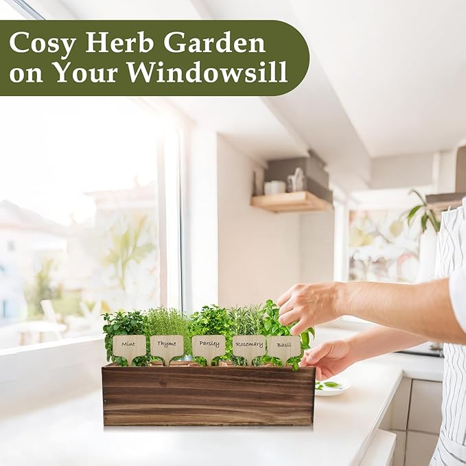 5 Herb Garden Planter Indoor - Image 4