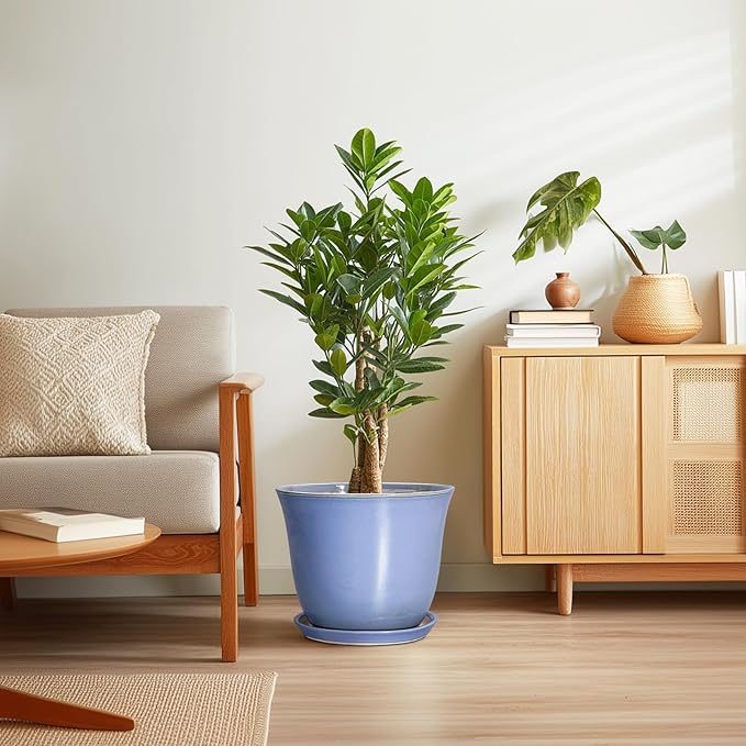 12 Inch Pots for Plants - Image 7