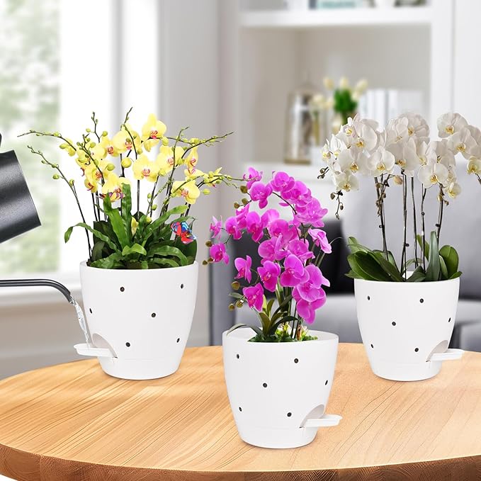 6 Inch Orchid Pots with Holes, 2 Pack Self Watering Planters - Image 6