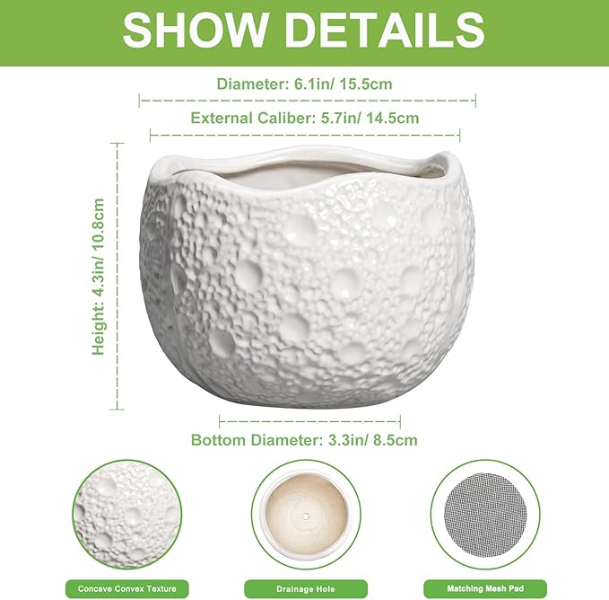 Ceramic Pots for Plants - Image 2