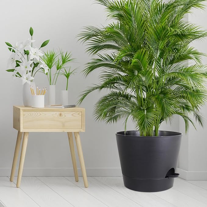12 inch Large Self Watering Pots - Image 7