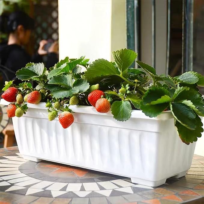 6 Packs Window Box Planter, 17 Inches Flower Window Box Rectangular Plastic - Image 6