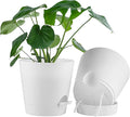 FaithLand 2-Pack 9 Inch Planter Pots by FaithLand