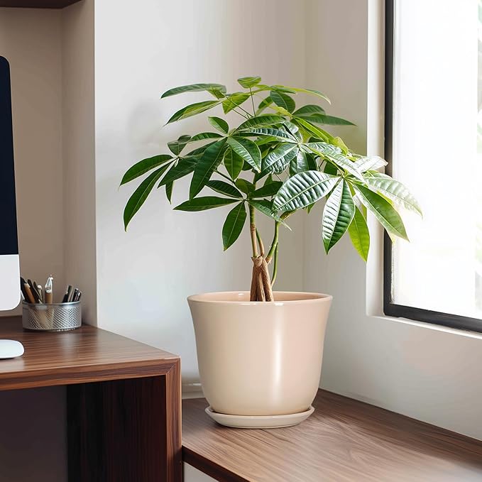 8 Inch Plant Pot - Image 3