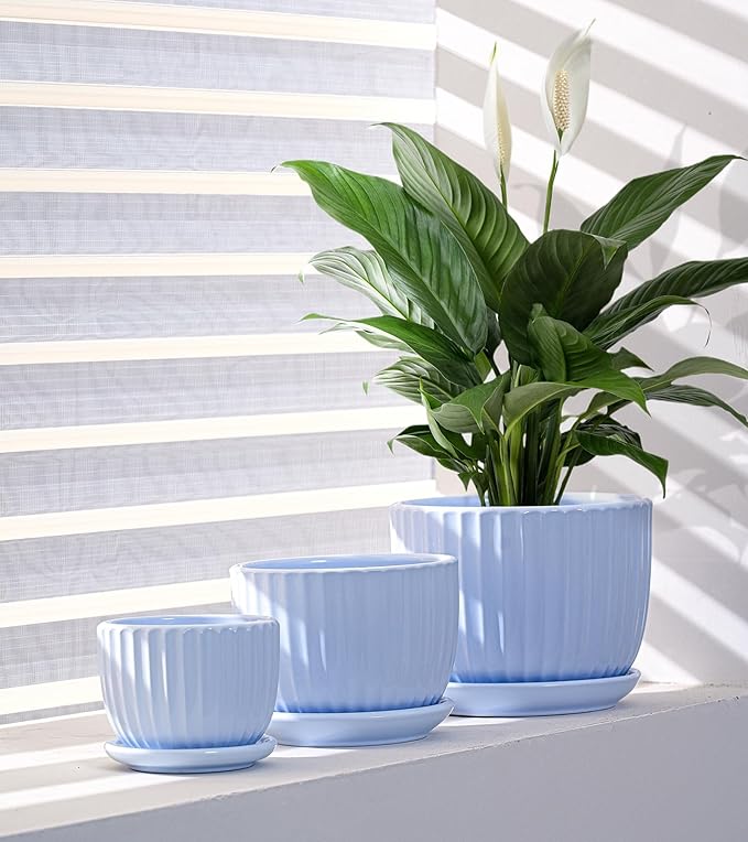 Ton Sin Sky Blue Ceramic Flower Pots, Modern Indoor Decorative Plant Pots Set - Image 5