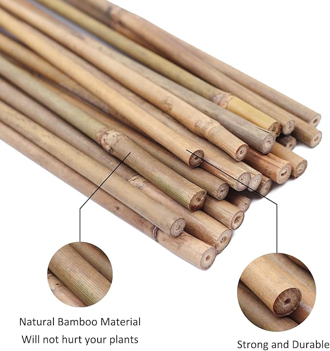 Plant Stakes Natural Garden Bamboo Sticks - Image 3