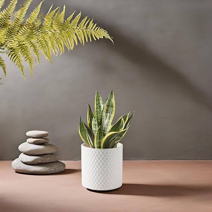 Docrin Ceramic Planters Indoor, 8 Inch Plant Pot - Image 8