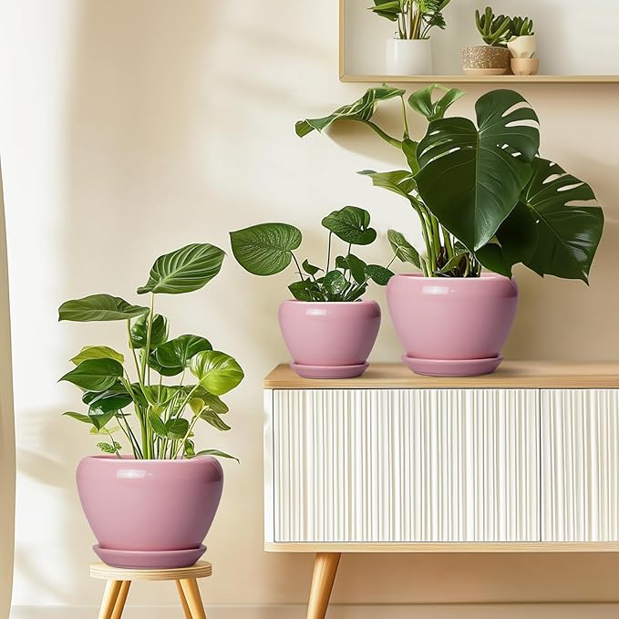 6 Inch Plant Pot - Image 8