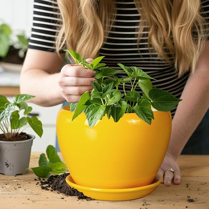 8 Inch Plant Pot - Image 5