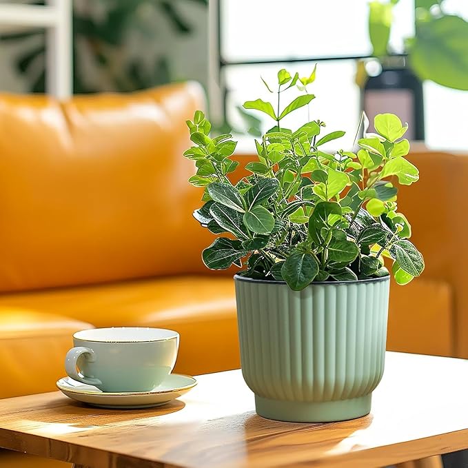 T4U 6 Inch Self Watering Pots for Indoor Plants, 6 Pack Plant Pots, Self - Image 7