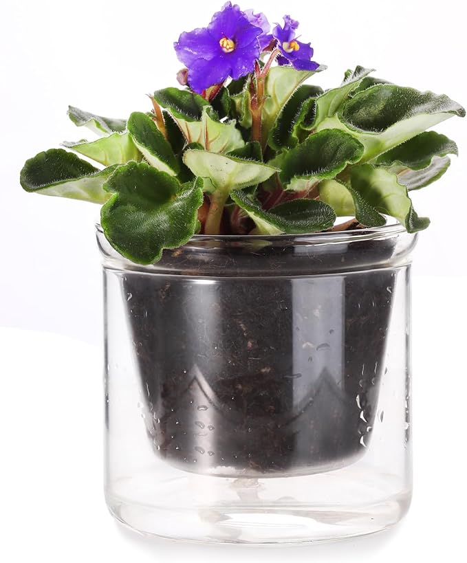 4 Inch Self Watering Pot, African Violet Pot, Bottom Watering Glass Planter by LAZUSAM