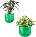 Melphoe Self Watering Pots for Indoor Plants Planter, 8.3/5.3 Inch 2 Pack by Melphoe